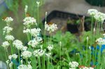 DSC08765.jpg