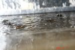 雨の瞬間1