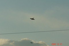 F−18ホーネット。クリックして大きくしてくださいね。r1