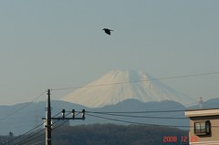富士山12/29朝。クリックして大きくしてくださいね。r1