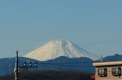 富士山09'1/11朝。クリックして大きくしてくださいね。ｒ１