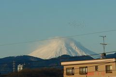 富士山09'1/13朝。クリックして大きくしてくださいね。r1