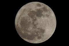十五夜お月さん。α55 SLT-A55VY 70-300mm F4.5-5.6 G SSM SAL70300G。クリックすると大きくなります。