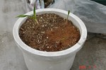 DSC00935.jpg