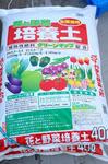 DSC01413.jpg