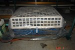 DSC01417.jpg
