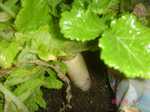DSC05140.jpg