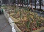 DSC05403.jpg