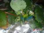 DSC05487.jpg