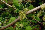DSC05996.jpg