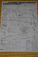 種も売っているんですね。クリックすると大きくなります。r