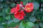 DSC06101.jpg