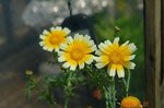 DSC06122.jpg