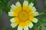 DSC06134.jpg