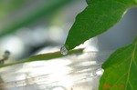 DSC06187.jpg