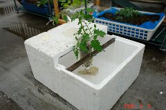 蓋も出来るようにします。クリックすると大きくなります。r