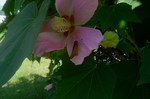 DSC06377.jpg