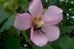 DSC06422.jpg