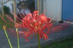 DSC06437.jpg