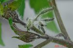 DSC06750.jpg