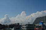 DSC06786.jpg