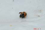 DSC07179.jpg