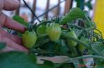 DSC07203.jpg