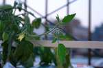 DSC07205.jpg