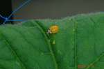 DSC07390.jpg