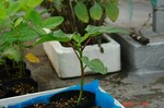 DSC07477.jpg