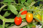 DSC07510.jpg