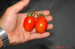 DSC07519.jpg