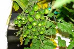 DSC07524.jpg