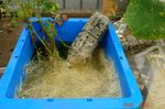 DSC07602.jpg