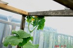 DSC07603.jpg