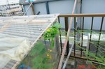 DSC07604.jpg