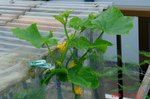 DSC07630.jpg