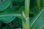 DSC07657.jpg