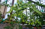DSC07701.jpg