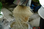 DSC08088.jpg