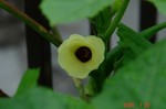 DSC08116.jpg
