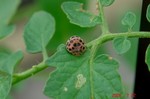 DSC08118.jpg