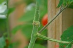 DSC08133.jpg