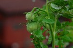DSC08304.jpg