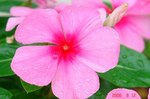 DSC08423.jpg