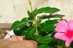 DSC08440.jpg