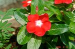 DSC08441.jpg