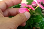 DSC08457.jpg