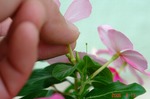 DSC08460.jpg