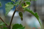 DSC08693.jpg